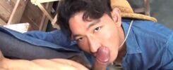 เกษตรกรไทยหนุ่มหล่อหุ่นดีหน้าตี๋ โดนจับเย็ดน้ำแตกเต็มปาก โดนจัดหนักเสียวสุดๆทุกท่า จนร้องคราง